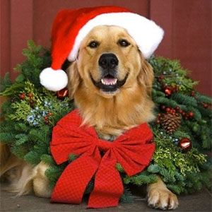 Santa Paws at Western Farm Center