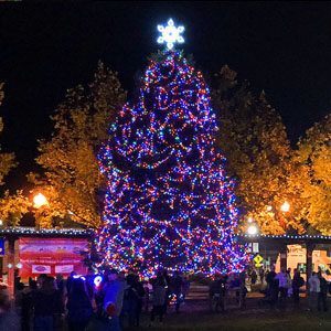 Windsor Holiday Tree Lighting