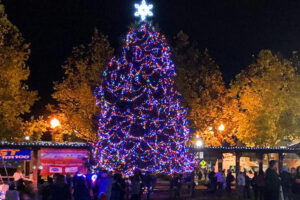 Windsor Tree Lighting and Holiday Celebration