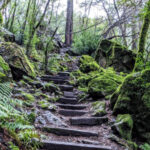 Sugarloaf Ridge State Park