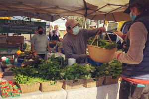 Sebastopol Farmers Market