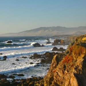 Sonoma Coast