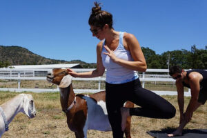 Goat Yoga with Rescued Farm Animals