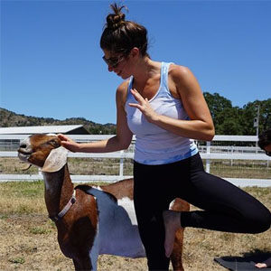 Goat Yoga at Charlies Acres