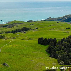 Hike at Jenner Headlands Preserve