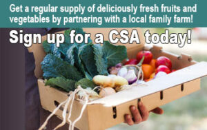 CSA farm food in Sonoma County