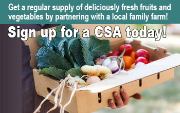CSA farm food in Sonoma County