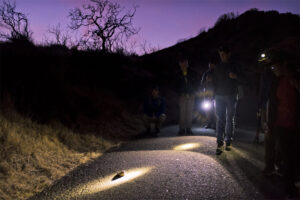 Full Moon Hike at Sugarloaf Ridge Park