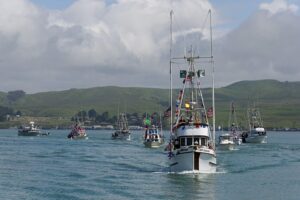 Bodega Bay Fisherman's Festival, Apr. 30-May 1, 2022