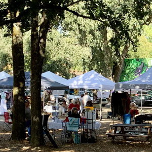 Forestville Farmrs Market on Tuesdays thrrough Sept. 27.