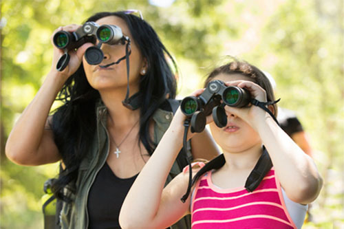 Family quests at Sonoma County Regional Parks
