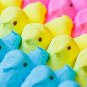 Easter Eggstravaganza at Rio Nido Roadhouse