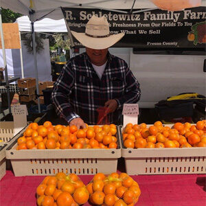 Sebastopol Farmers Market
