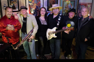 The Remedies band