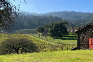 Jack London State Park