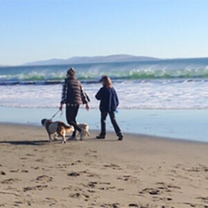 Hikes with Hounds Sonoma County Regional Parks