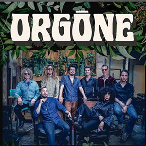 orgone California Soul band