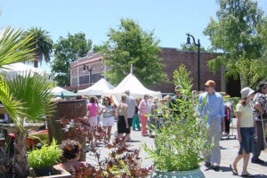 Petaluma Art & Garden Festival