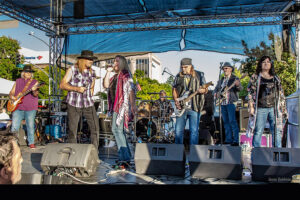 Skynyrd and Frynds band