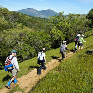 Sugarloaf Park hike