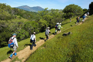 Sugarloaf Ridge Park hike