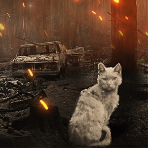 Fire Cats film at the Rialto for Forgotten Felines