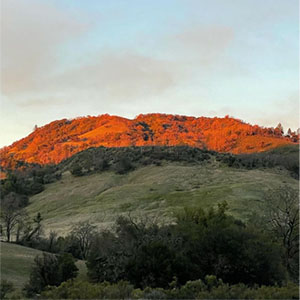 Sugarloaf Park after fire