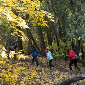 Family hike at Sugarloaf Ridge Park