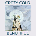 Crazy Cold Beautiful