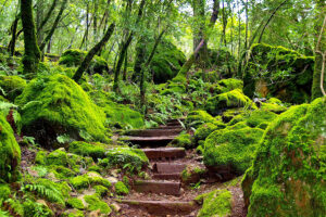 Sugarloaf Ridge Park