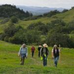 Hike at Pepperwood Preserve