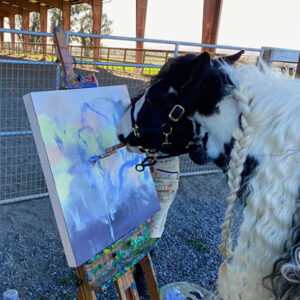 Painting horse Johnnie