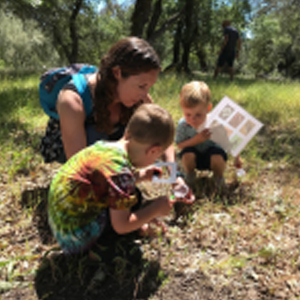 Call of the Wild weekend at Jack London Park