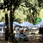 Forestville Farmers Market