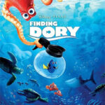Finding Dory-movies at Lucchesi Park in Petaluma