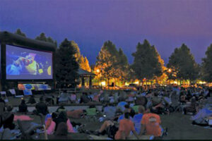 Movies on the Green in Windsor