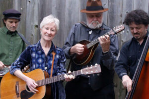 Stadler-Gibbonds band