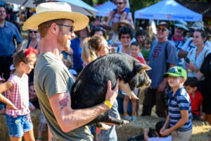 Gravenstein Apple Fair