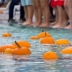 Floating Pumpkin Patch Santa Rosa Recreation