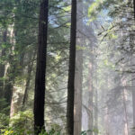Jenner Headlands Preserve