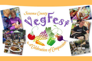 Sonoma County VegFest