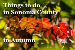 Things to do in autumn in Sonoma County