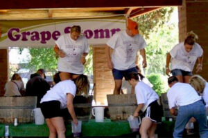 Valley of the Moon Vintage Festival Grape Stomp