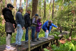 Docent Tour at Hidden Forest Botanical Preserve