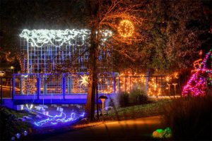 Northern Lights at Luther Burbank Center for the Arts