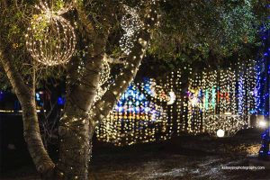 Northern Lights at Luther Burbank Center for the Arts in Santa Rosa. Photo by Kelsey Joy Photography.