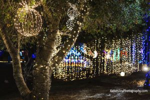 Northern Lights at Luther Burbank Center Kelsey Joy Photography