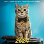 New York Cat Flm Festival in Healdsburg