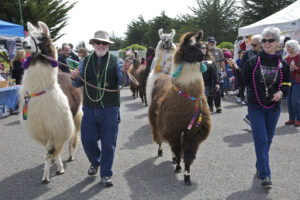 Bodega Bay Fishermans Festival