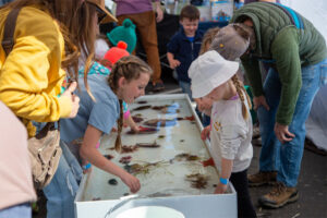Bodega Bay Fishermans Festival